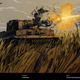 Image for article titled A Tiger In The Grass